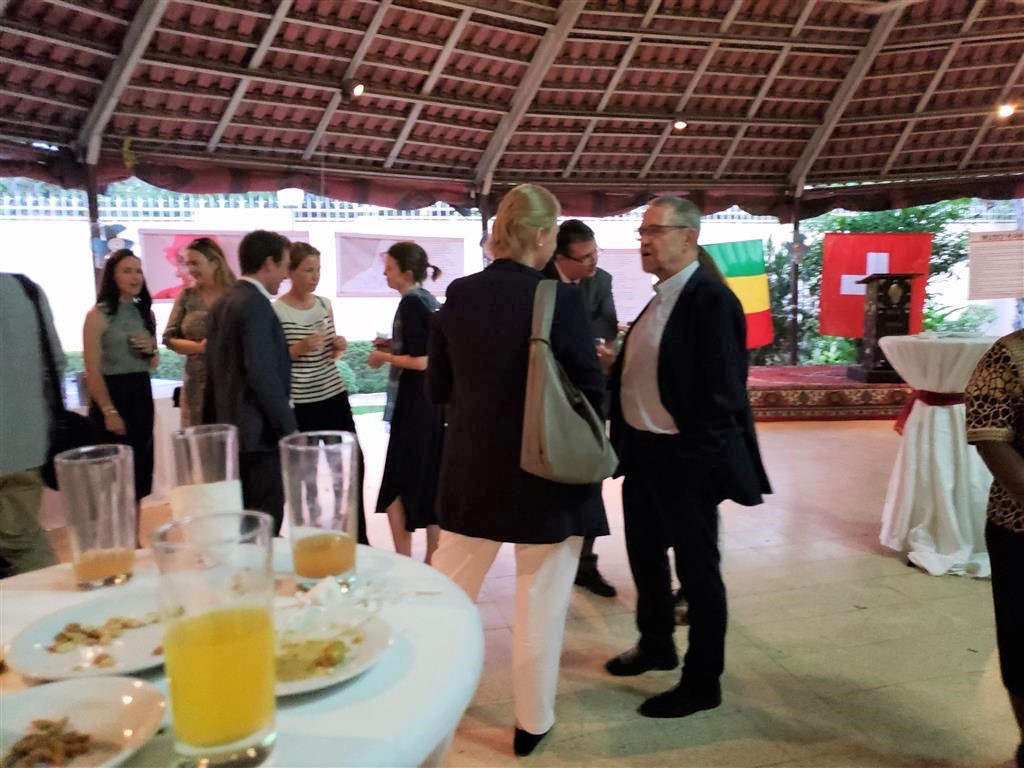 20190801_185546_001 (Medium)