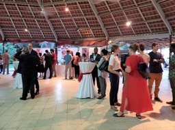 20190801_185720 (Medium)