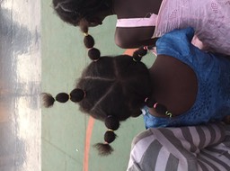 IMG_0550