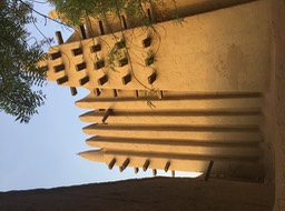 IMG_0597
