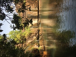 IMG_1940