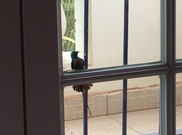 IMG_1955