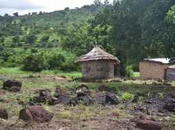 IMGP0005