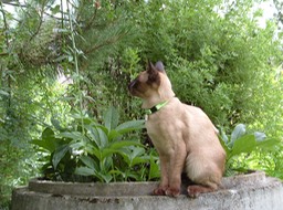 Mao_058
